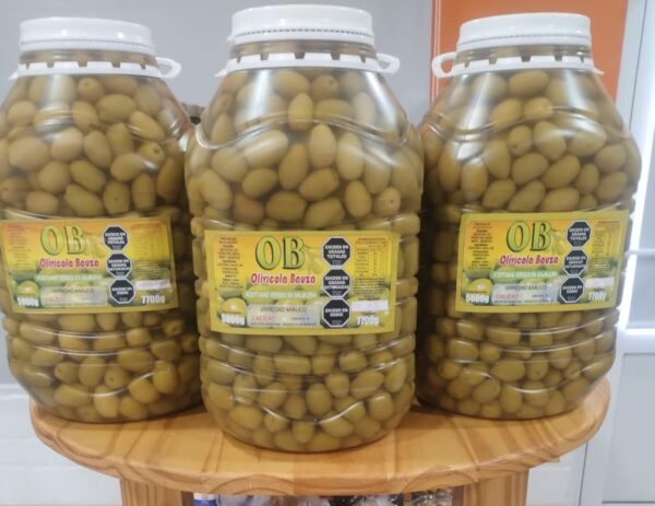 Aceituna x8kg (grandes)