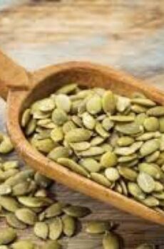 Semilla de zapallo premium